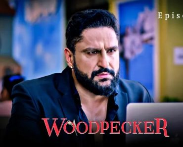 Woodpecker Episode 4